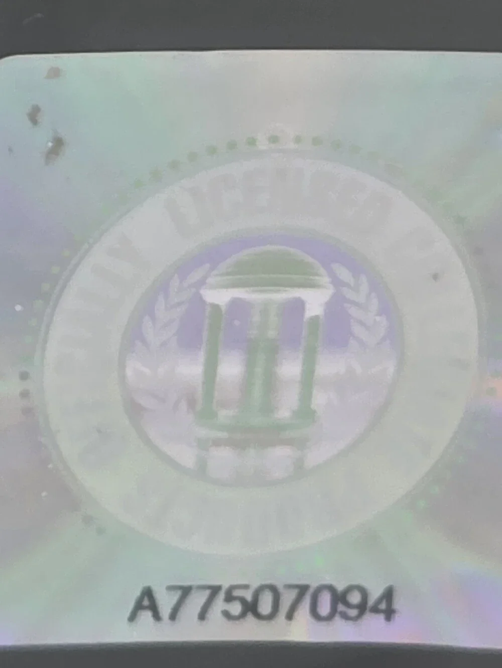 N/A lsu tigers